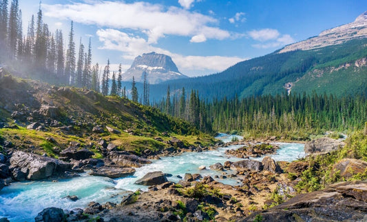 Exploring the Wonders of National Parks