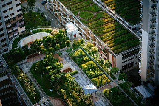 The Beauty and Benefits of Urban Gardening