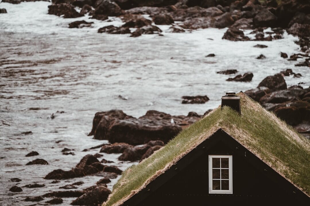 The Marvels of the Coastal Shores