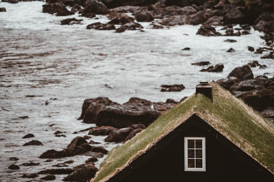 The Marvels of the Coastal Shores